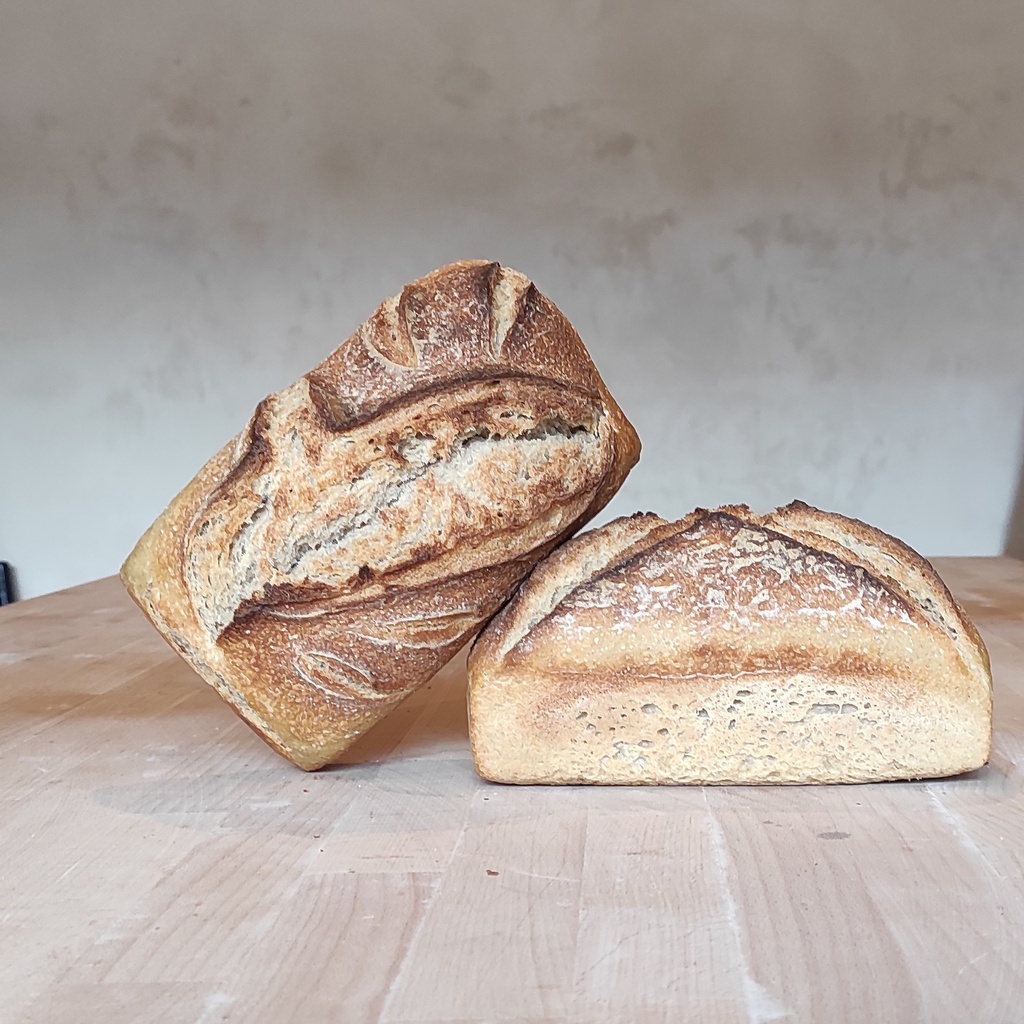 Pain de froment intégral
